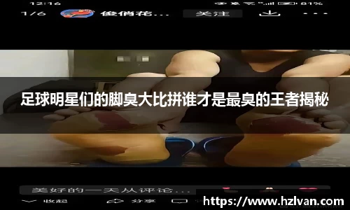 必一运动B·Sport